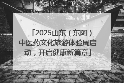 2025山东（东阿）中医药文化旅游体验周启动，开启健康新篇章