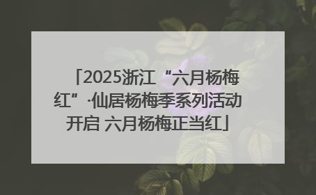 2025浙江“六月杨梅红”·仙居杨梅季系列活动开启 六月杨梅正当红