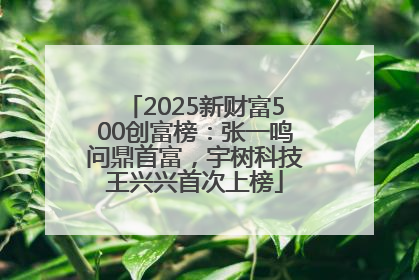 2025新财富500创富榜：张一鸣问鼎首富，宇树科技王兴兴首次上榜