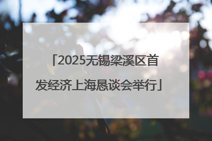 2025无锡梁溪区首发经济上海恳谈会举行