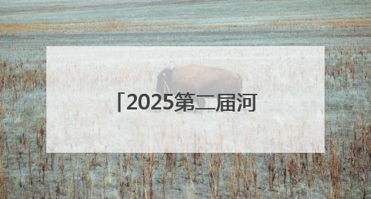 2025第二届河北省城市公益跑秦皇岛站活动开赛
