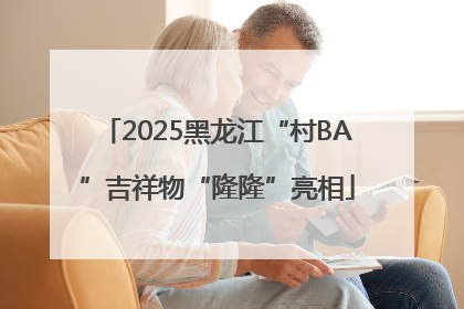 2025黑龙江“村BA”吉祥物“隆隆”亮相