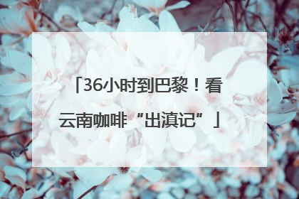 36小时到巴黎！看云南咖啡“出滇记”