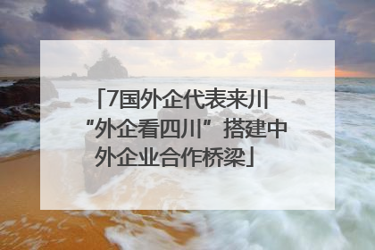 7国外企代表来川 “外企看四川”搭建中外企业合作桥梁