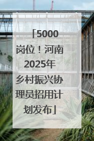 5000岗位！河南2025年乡村振兴协理员招用计划发布