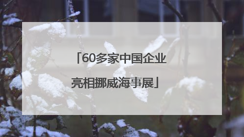 60多家中国企业亮相挪威海事展