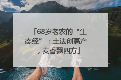 68岁老农的“生态经”：土法创高产，麦香飘四方