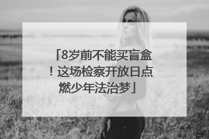 8岁前不能买盲盒！这场检察开放日点燃少年法治梦