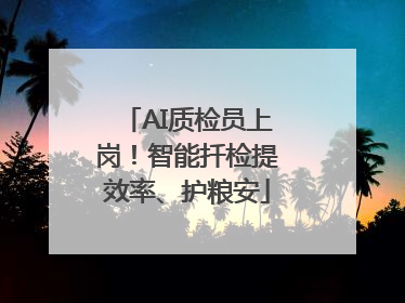 AI质检员上岗！智能扦检提效率、护粮安
