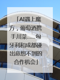 AI遇上魔方，葡萄酒携手川菜……匈牙利和成都碰出意想不到的合作机会
