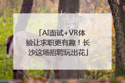 AI面试+VR体验让求职更有趣！长沙这场招聘玩出花