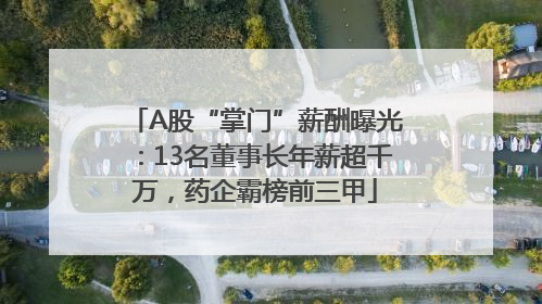 A股“掌门”薪酬曝光：13名董事长年薪超千万，药企霸榜前三甲