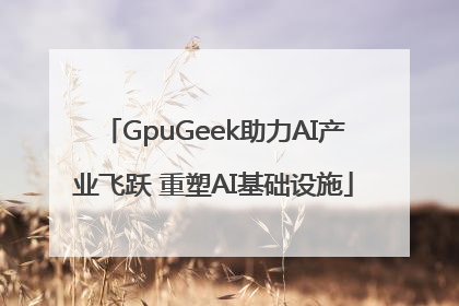 GpuGeek助力AI产业飞跃 重塑AI基础设施