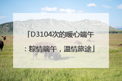 D3104次的暖心端午：粽情端午，温情旅途
