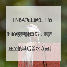 NBA新王诞生！哈利伯顿跟腱重伤，雷霆迁至俄城后首次夺冠